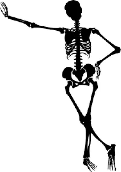 Combien p&egrave;se &agrave; peu pr&egrave;s le squelette d'un homme dans la moyenne ?