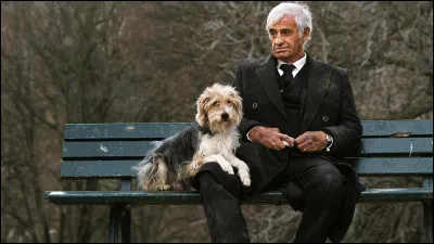 En 2001, il quitte la scène à cause d'un accident vasculaire cérébral, survenu en Corse. C'est après 7 ans d'absence qu'il tournera "Un Homme et son chien". Quel âge avait Belmondo en 2008 ?