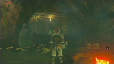 Dans la boutique à l'intérieur de l'Arbre Mojo, on peut trouver divers articles. Quelle information est fausse ?