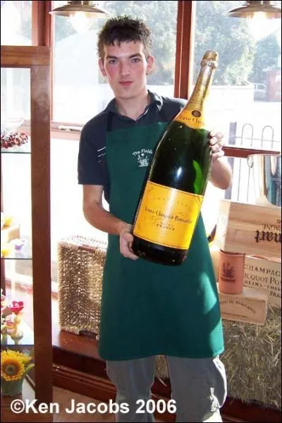 Contient 12 bouteilles de 75 cl de champagne. C'est un...