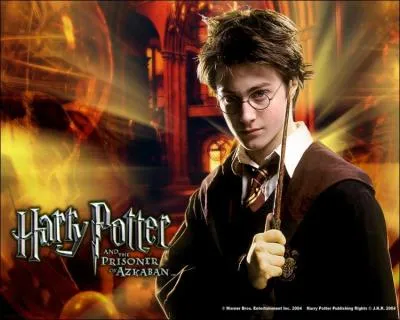 Harry Potter est un...