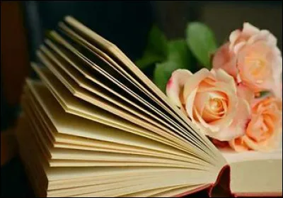 Qui a écrit "La Dernière des Stanfield" ?