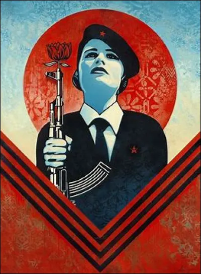 Quelle marque doit-on au célèbre artiste de rue et illustrateur Shepard Fairey ?