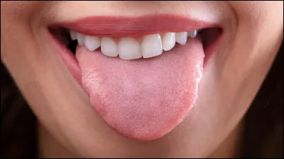 Quelle est la langue officielle du Mozambique ?