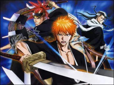 Quel est cet animé ?