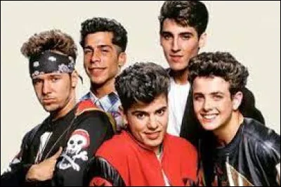 Cette chanson fut classée à la 10e place.
Quel boys band a chanté "Step by Step" ?