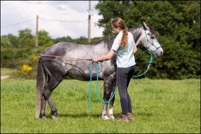 Mon cheval a bien réussi cet exercice.