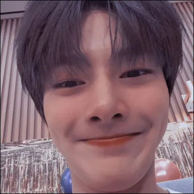 Quelle est sa couleur préférée ?