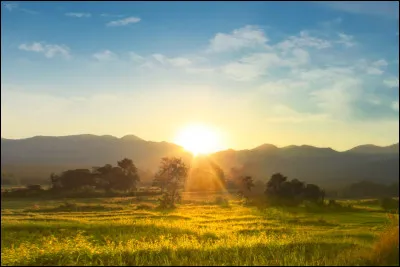 À quelle heure te lèves-tu à la fin de semaine ?