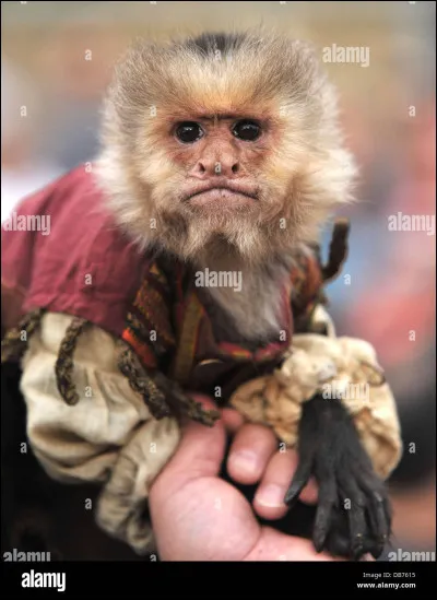 Ton pire ennemi serait...