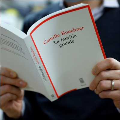 Qu'est-ce qu'un chat dans un livre ?