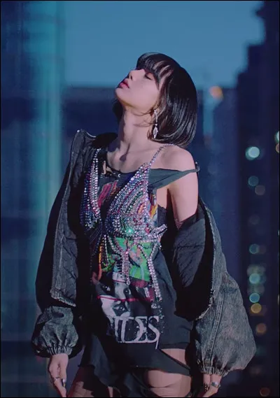 Qui chante "Didn't wanna be a princess, I'm priceless" ?