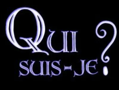 Comment te définirais-tu ?