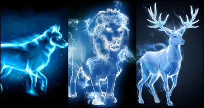 Quel Patronus souhaiterais-tu avoir ?