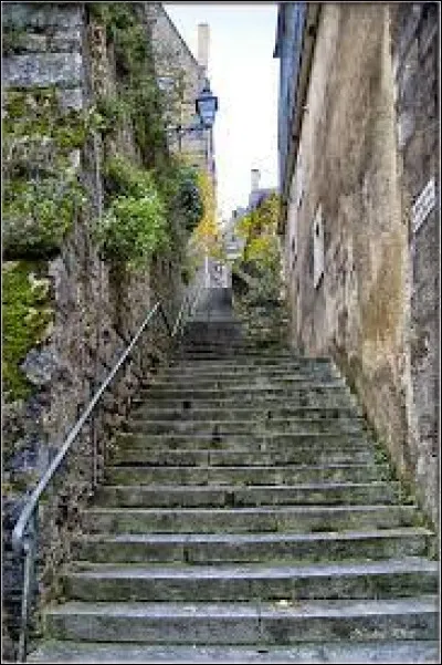 Dans quelle ville emprunterez-vous l'escalier des Pans de Goron, près de la cathédrale Saint-Julien ?
