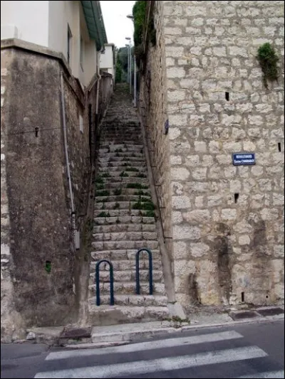 Dans quelle ville descendrez-vous l'escalier Eugène Charabot, débouchant sur le boulevard du même nom ?