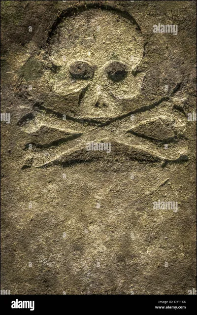 Les jours passent mais toujours aucune nouvelle de Petit Silence. Tu commences à perdre espoir mais tu le trouves là, tout simplement dans la pouponnière ! Tu lui demandes gentiment s'il va bien, où il était... avant de te rappeler qu'il ne parle pas. Mais il te dessine quand même sa parole dans la terre : un chat qui marche ainsi qu'une étoile. Comment réagis-tu ?