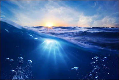 Quel acteur ne voit-on pas dans le film de Richard Fleischer "Vingt mille lieues sous les mers" ?