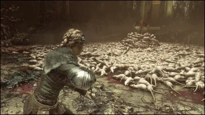 Qu'est-ce qui est faux au sujet des rats blancs ?