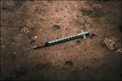 Qui chante "My Lady Heroïne" en 1977 ?