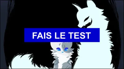 Pourquoi fais-tu ce test ?