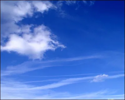 Quel talent préfères-tu ?