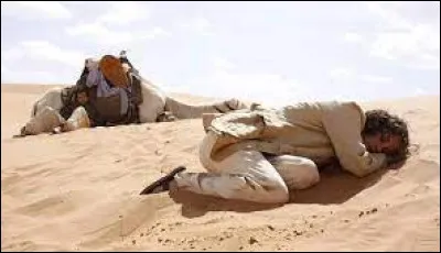 Dans ce film, sorti en 2009, l’aventurière et aviatrice Marie Vallières de Beaumont n’a qu’une obsession : le retrouver son amant, un aviateur disparu dans le Sahara. Quel est son titre ?