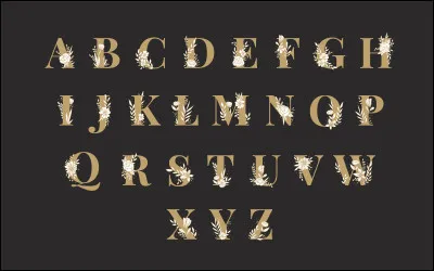 Par quelle lettre commence ton prénom ?