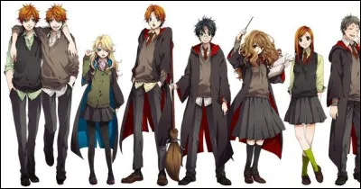 Quel est ton patronus ?