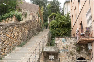 Dans quelle ville pourrez-vous emprunter la rue Joséphin Soulary ?