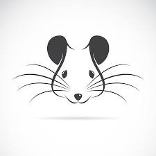Quiz Animaux