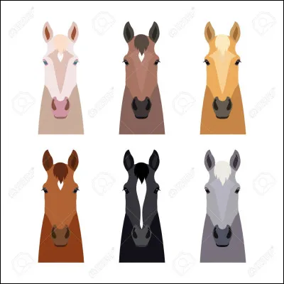Les robes correspondent aux couleurs des chevaux.