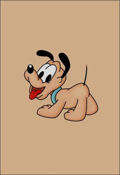 De quelle couleur sont tes cheveux ?