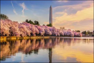 Quel fleuve, long de 665 km, arrose Washington ?