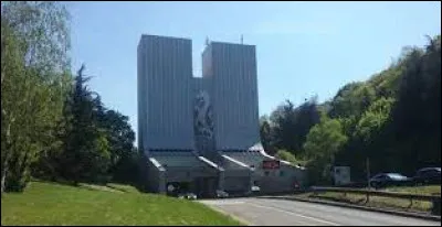 Quel tunnel, d'une longueur d'environ 1 850 mètres, porte le nom de l'une des collines de la ville de Lyon  ?