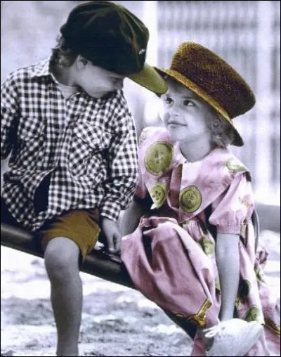 Dans le roman "Les Malheurs de Sophie, quel était le prénom du cousin de Sophie ?