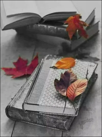 Quel enfant partage l'histoire avec Maigret dans le livre de Georges Simenon ?