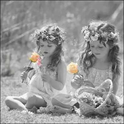 Qui a écrit l'histoire de "Deux petites filles en bleu" dans son roman policier ?