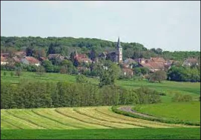 Village de l'arrondissement de Lure, inclus dans l'aire d'attraction Vésulienne, Châtenois se situe dans le département ...