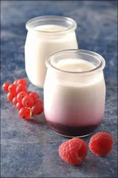 Est-ce que les chats peuvent manger du yaourt ?