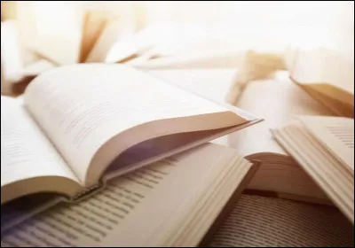 Dans quel roman le sujet principal est l'amour ?