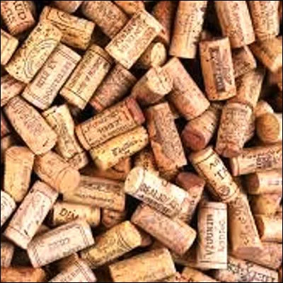 Quel est le fruit de larbre qui fournit le liège ?