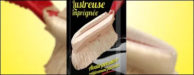 Quel nom porte l'orang-outan femelle arrivée en 1972 à la ménagerie du jardin des plantes, à Paris ?