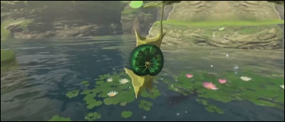 Combien de noix Korogus y a-t-il à découvrir ?