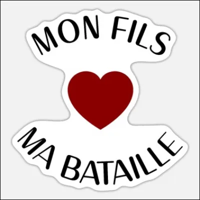 Qui interprétait le titre "Mon fils, ma bataille" en 1981 ?