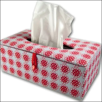 Quel est cet objet ?