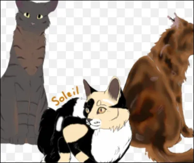 Ton mentor arrive et te voit avec ce chat. Il te demande qui c'est et tu ne veux pas lui avouer la vérité. Qu'est-ce que tu dis ?