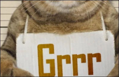 Après qu'elle ait insisté, tu lui dis tout. Elle était en colère mais au lieu de t'exclure, elle te donne une punition. Tu peux choisir entre trois punitions :