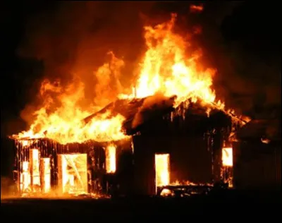 Tu arrives avec Nuage de Fleur là-bas. Et tu vois Félix... encore dans la cabane en feu !