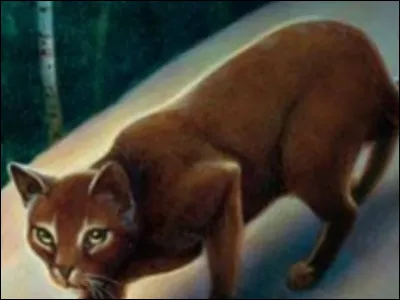 Au final, tu vas voir ce qu'il y a dans la forêt et tu croises un chat...
Que dis-tu ou que penses-tu ?